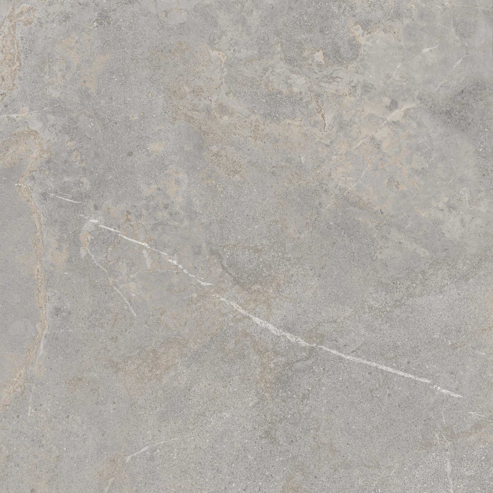 Platinum Santander Grey 60x60